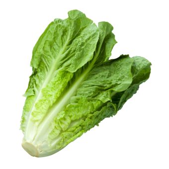 Lettuce- (L.P.C) 1xBox02